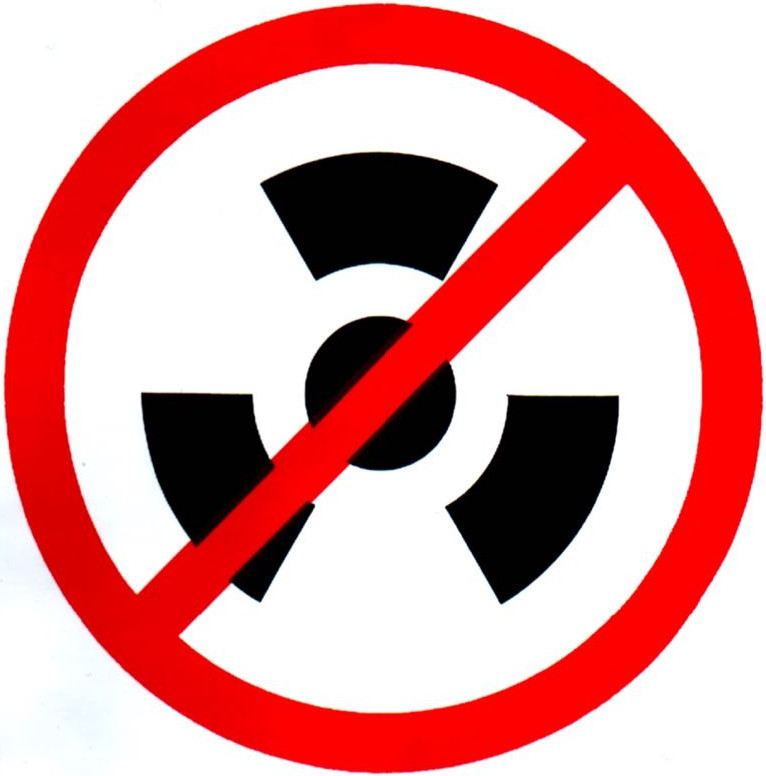 Nuclear-Weapon-Free Zone logo